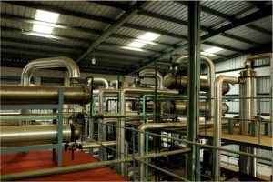 WhatsApp Image 2026-01-13 at 08.11.59 (1)