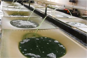 WhatsApp Image 2026-01-13 at 08.11.59