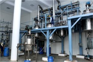 WhatsApp Image 2026-01-13 at 08.12.00 (1)