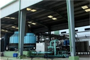 WhatsApp Image 2026-01-13 at 08.12.00 (2)