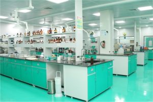 WhatsApp Image 2026-01-13 at 08.12.43